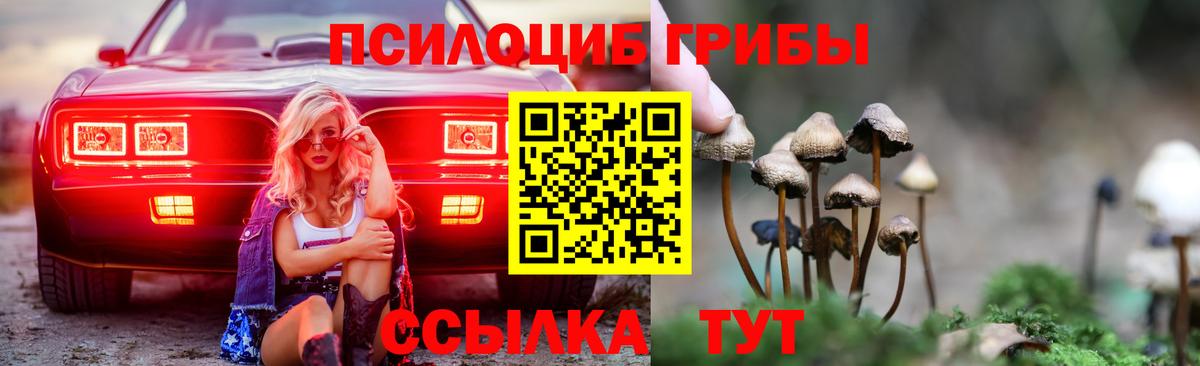 Галлюциногенные грибы Magic Shrooms  Галлюциногенные грибы мухоморы  Трёхгорный  где купить наркоту  Вход с VPN 